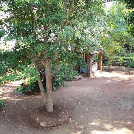 Cancio'S House Hotel Aldona Ngoại thất bức ảnh